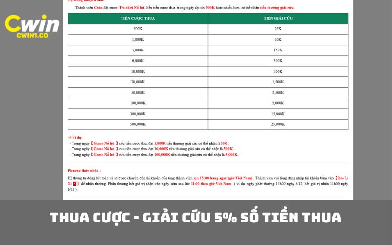 Thua cược - giải cứu 5% số tiền thua