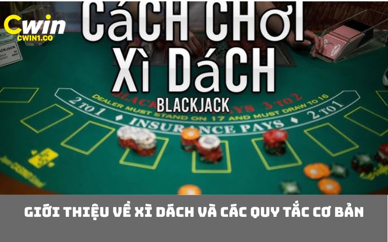 Giới thiệu về xì dách và các quy tắc cơ bản